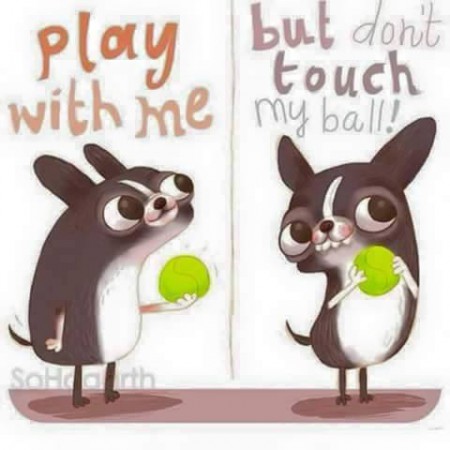 Clinton i ett nötskal